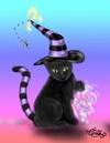 Magic_cat