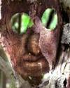 Monstre1