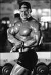 Muscle