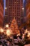 Newyork