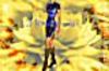 Nol_2005