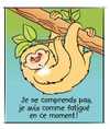 Paresseux