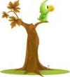 Perroquet_1