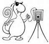 Photographe