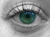 Regard_2
