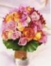 Roses_pardon