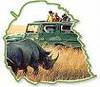 Safari