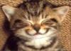 Sourire_4
