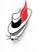 Souris_3