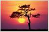 Tanzanie1