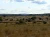 Tanzanie15