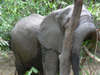 Tanzanie18