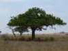 Tanzanie24
