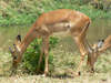 Tanzanie3