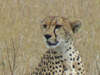 Tanzanie6