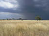 Tanzanie7_1